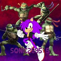 sonic28955