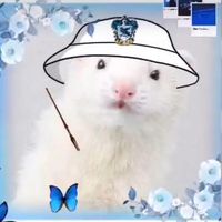 harrypotter_mysteryboxx