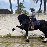 haydebonilla0