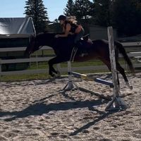shaylas_eq.isdabest