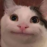 original sound - 🇲 🇪 🇲 🇪 🇨 🇦 🇹😼😸