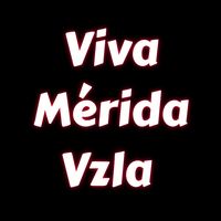 vivameridavzla
