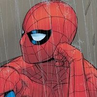 spider._.garfeild