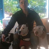 original sound - jessicarodriguespnn