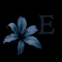 elioarriaran