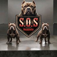 s.o.s.kennels