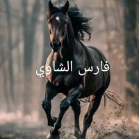 fares05chawi