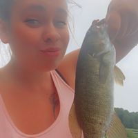 taylormarie7339
