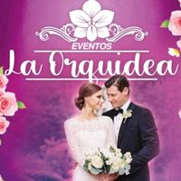 orquidea.vip