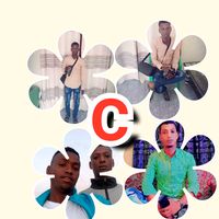cabdi300