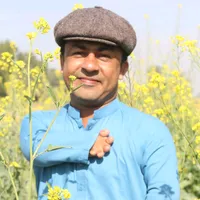 original sound - saddam.rajpar8