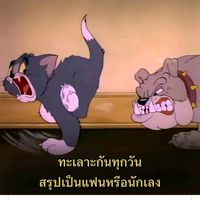 dn_tnm