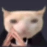 ninjacat316