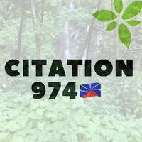 citation_974island