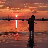 stien_2006
