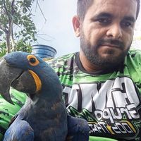 rogeriovasconcelos24