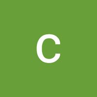 cristian.vasquez437