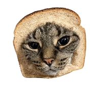 suara asli - Leooo