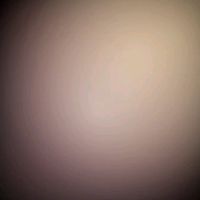 lolik4134