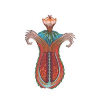 Isaac playing saxophone