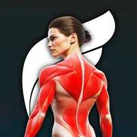 original sound - fitonomy.app