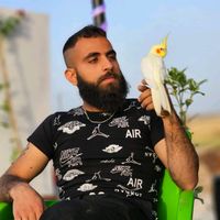 الصوت الأصلي