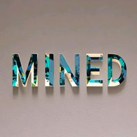 mined310
