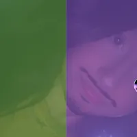 original sound - jayyy.dont.carenomore0