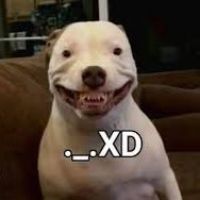 original sound - wilox.tv