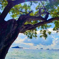 original sound - user7304247277682