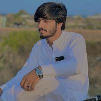 shahsawarkhan6137