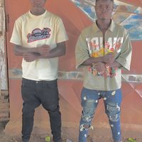 userdia534