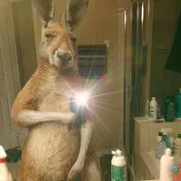 original sound - wt_fen1