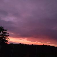 _evelyn19_
