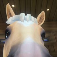 lilysoundfire