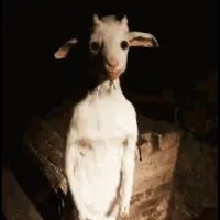 do ya like