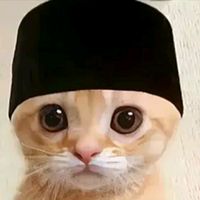 suara asli - entede_JWG