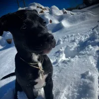 Pa Llamar tu atención