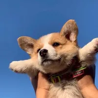 Purple hair song u thot