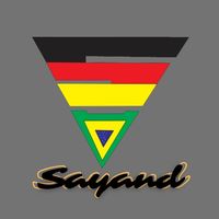 repuestos_sayand