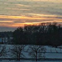 coralie_181