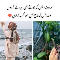 ahmadcheema293