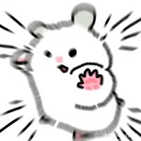 520mimi1314