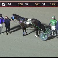 standardbredcowgirl88