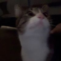 bts_defender37