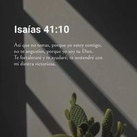 11.11..2