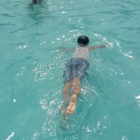 suara asli - @@adetamaindri12345