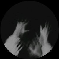 n.e.m.e.s.i_s