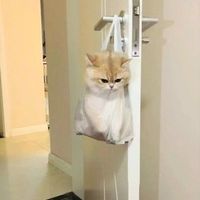 suara asli - ʑʏʏ' ft AP 🦇