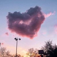 music_love172